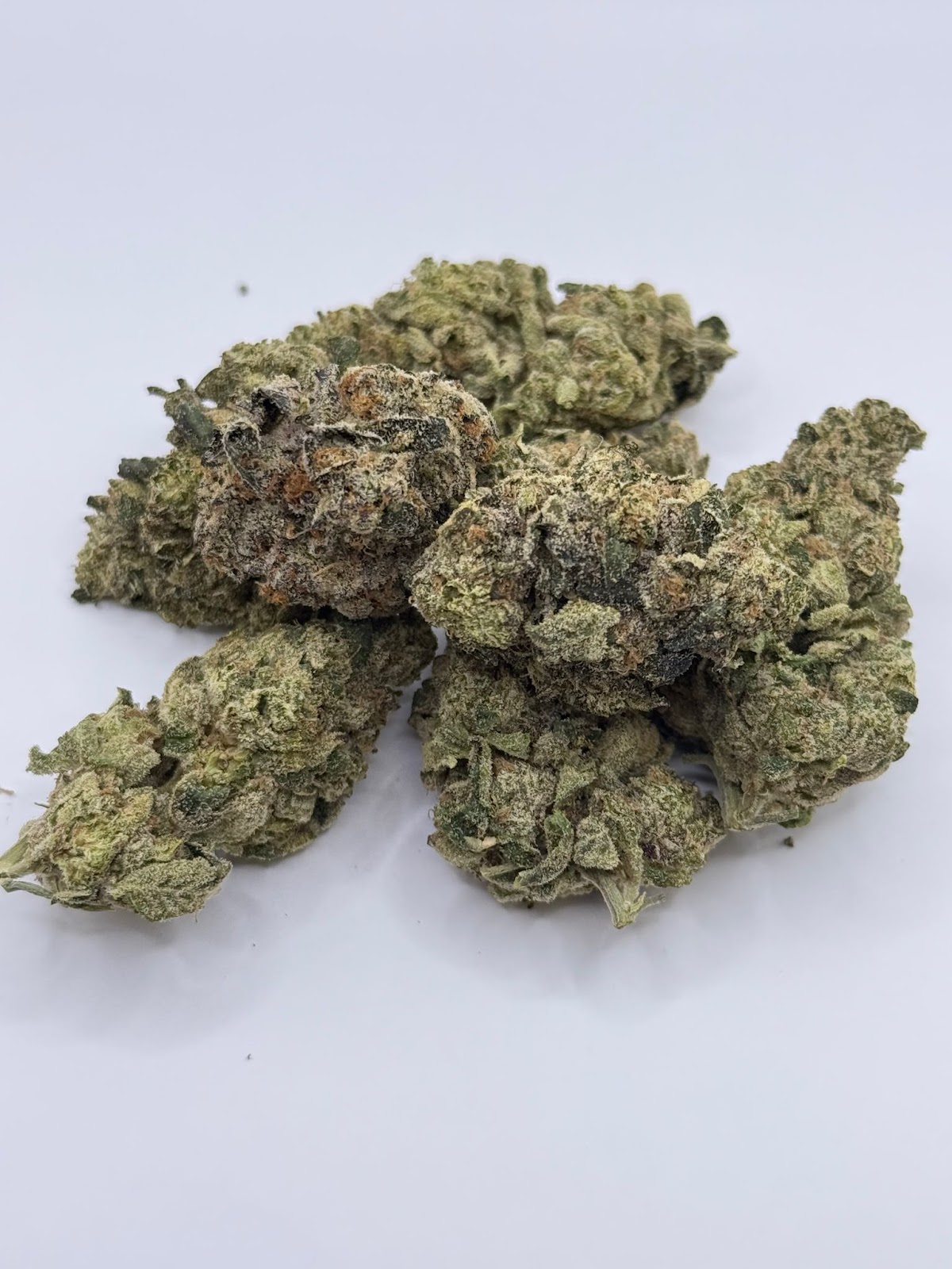 Skittles GA Pie — wholesale hybrid flower