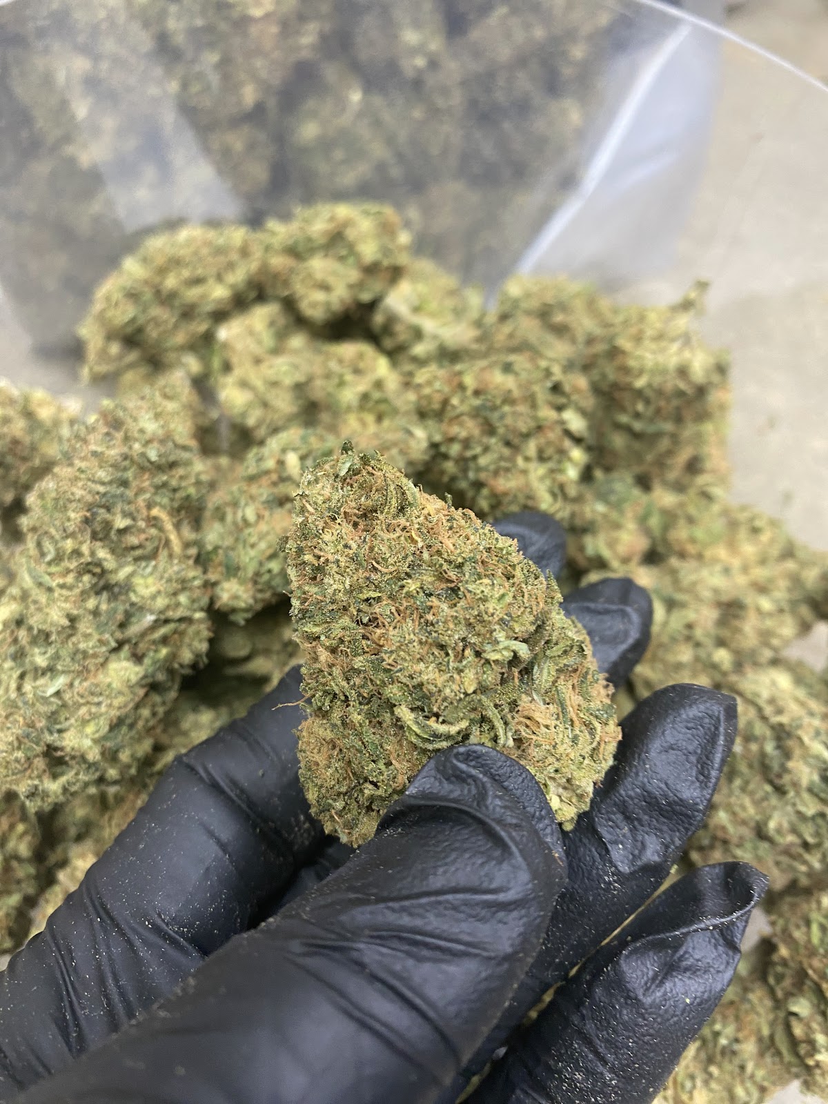 SOUR CANDY — wholesale hybrid edible