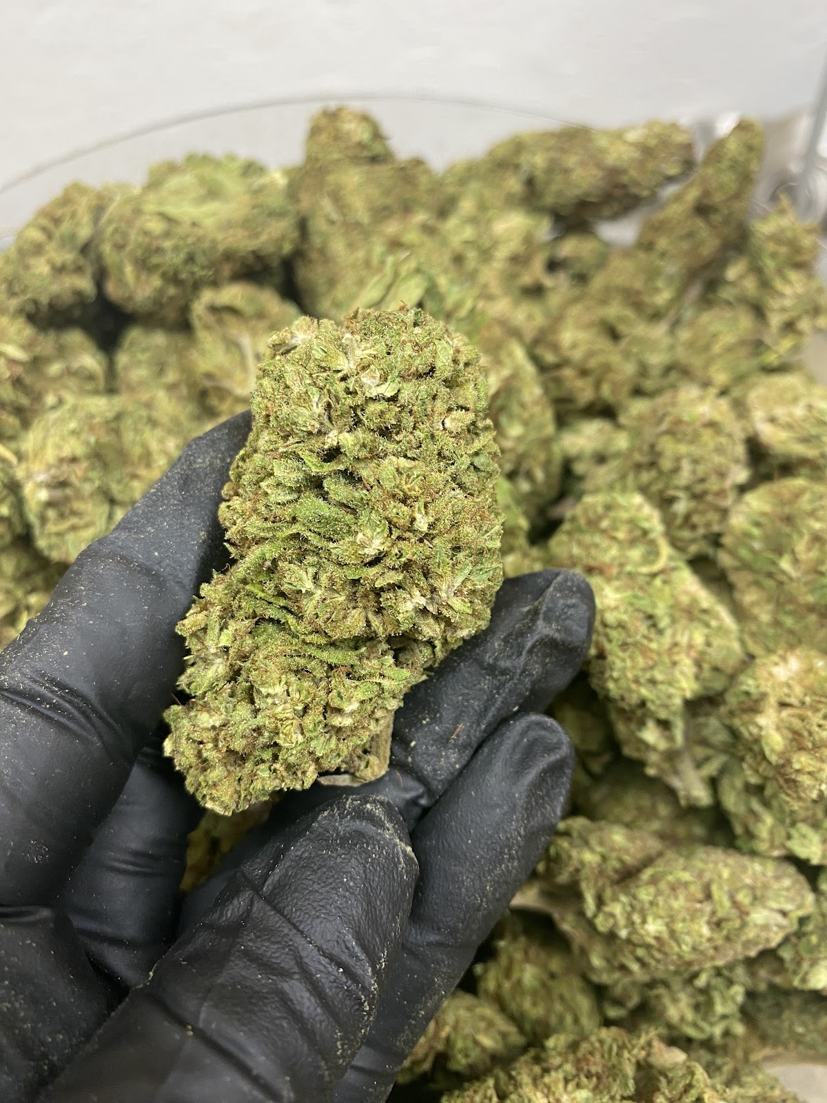 SOUR SPECIAL SAUCE — wholesale hybrid concentrate