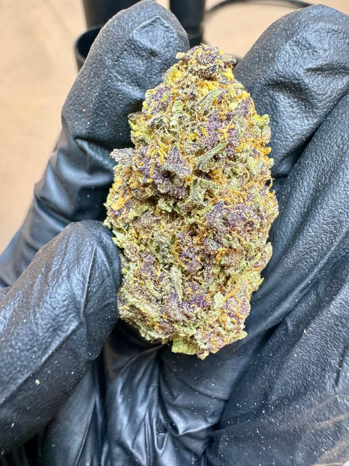TROPICANA CHERRY — wholesale sativa flower