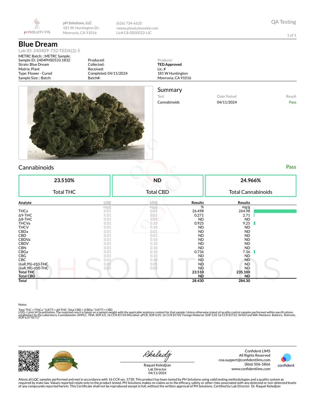 BLUE DREAM — wholesale sativa flower