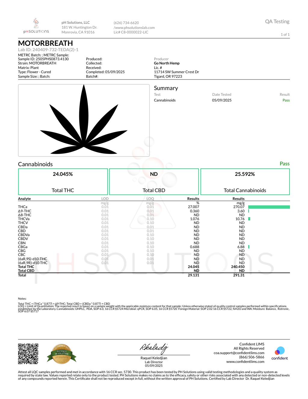 MOTORBREATH — wholesale indica flower