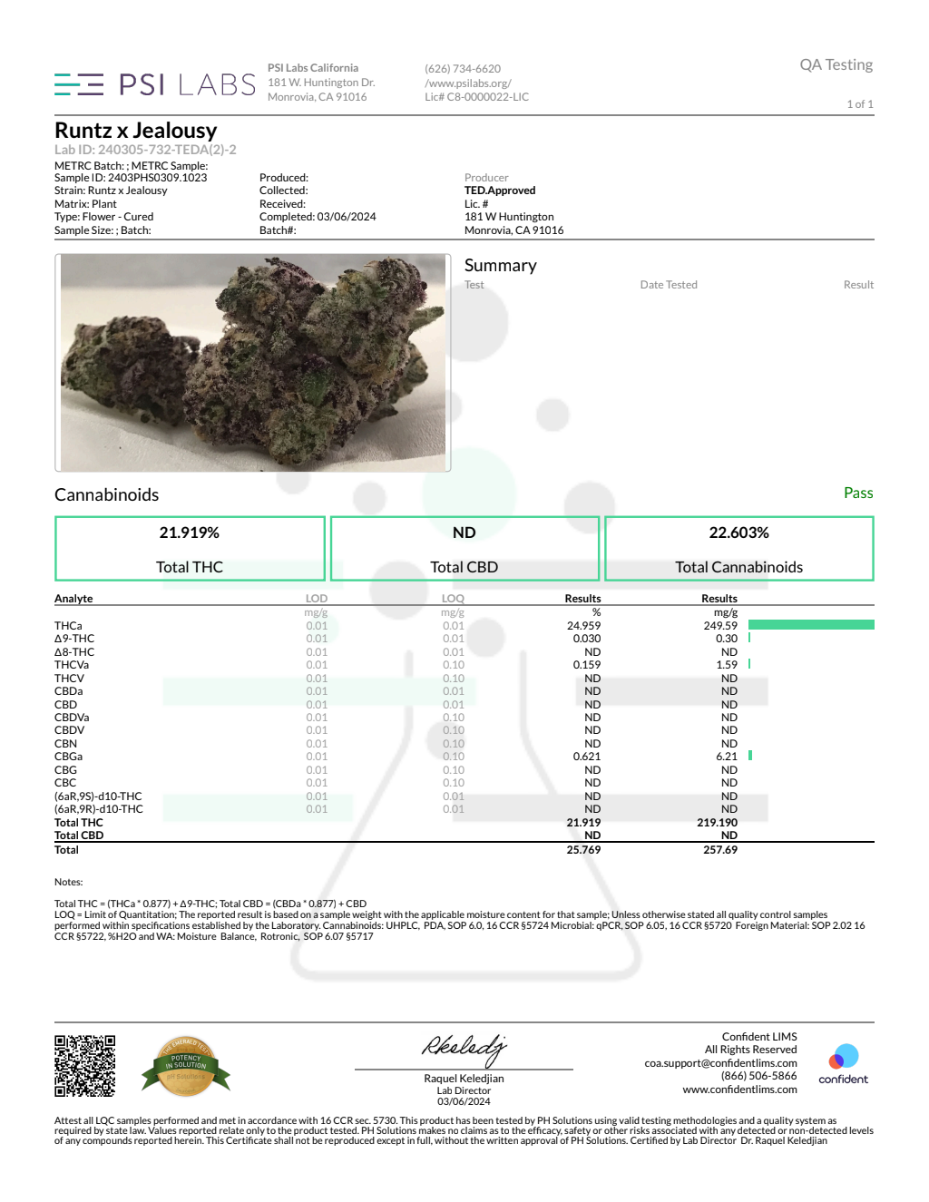 RUNTS JEALOUSY — wholesale hybrid flower