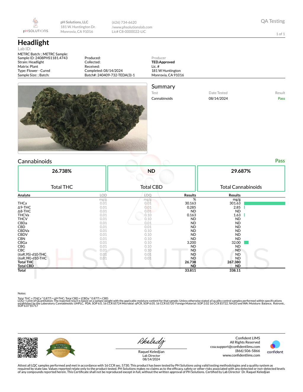 HEADLIGHT — wholesale sativa flower