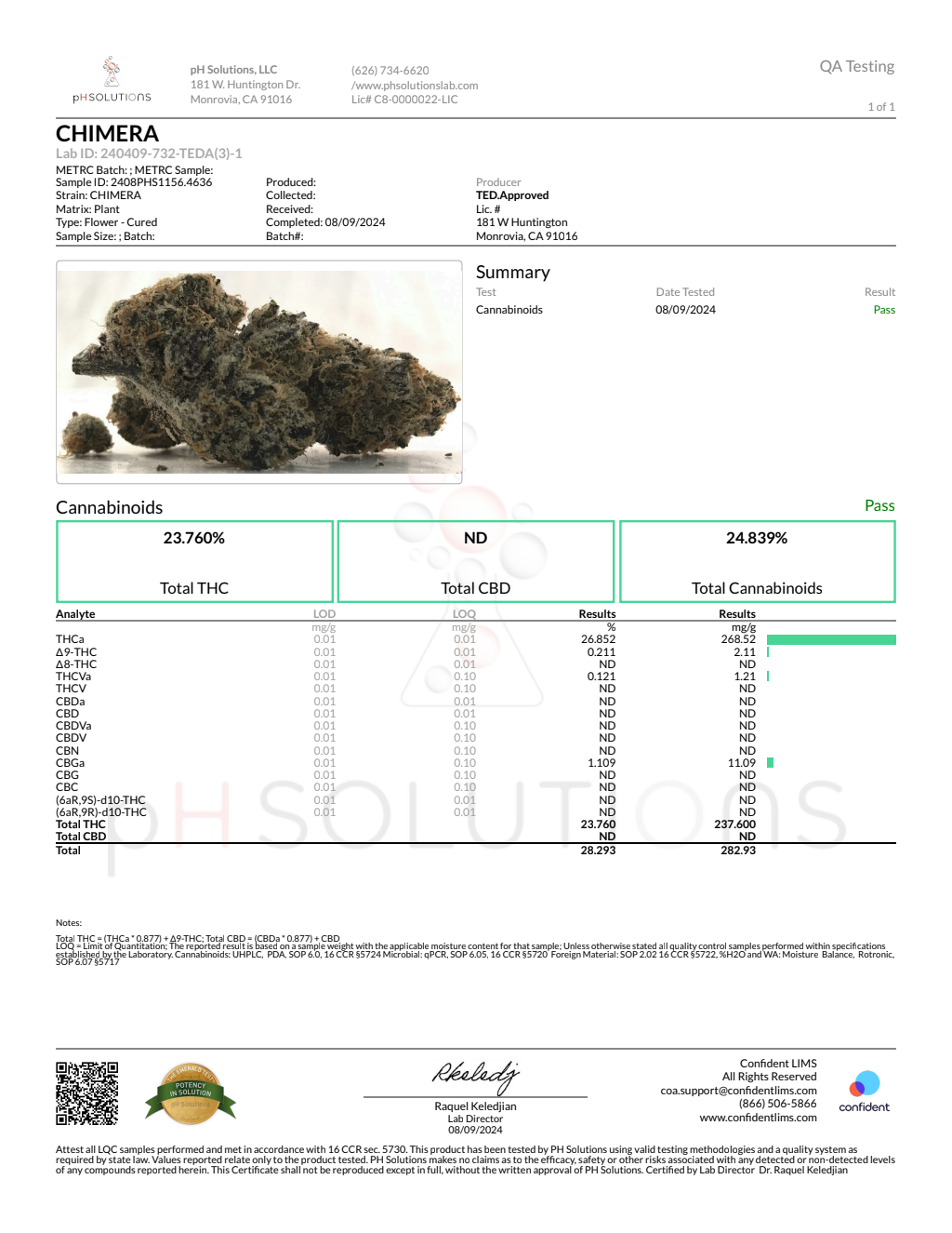 CHIMERA — wholesale sativa flower