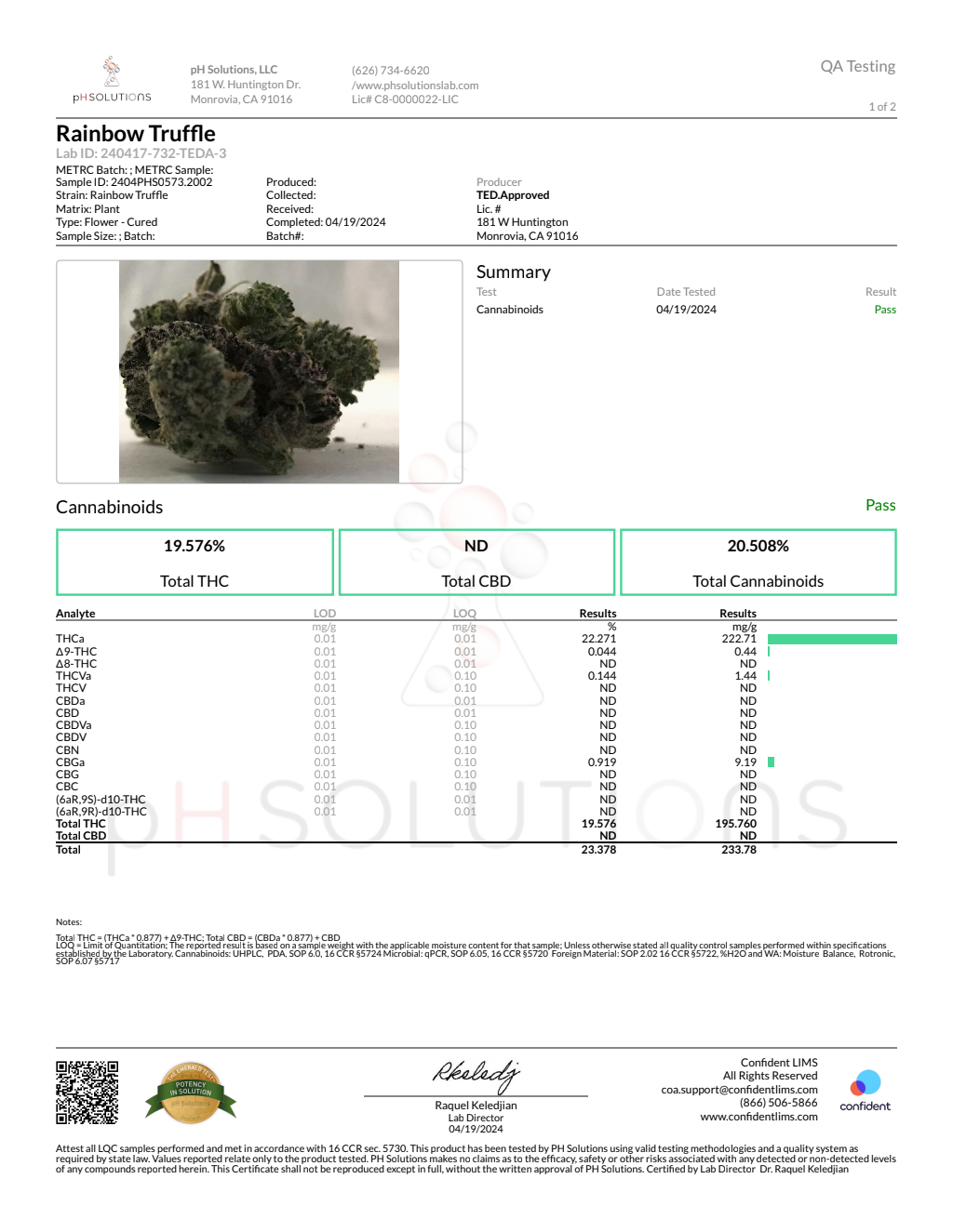 RAINBOW TRUFFLE — wholesale indica flower