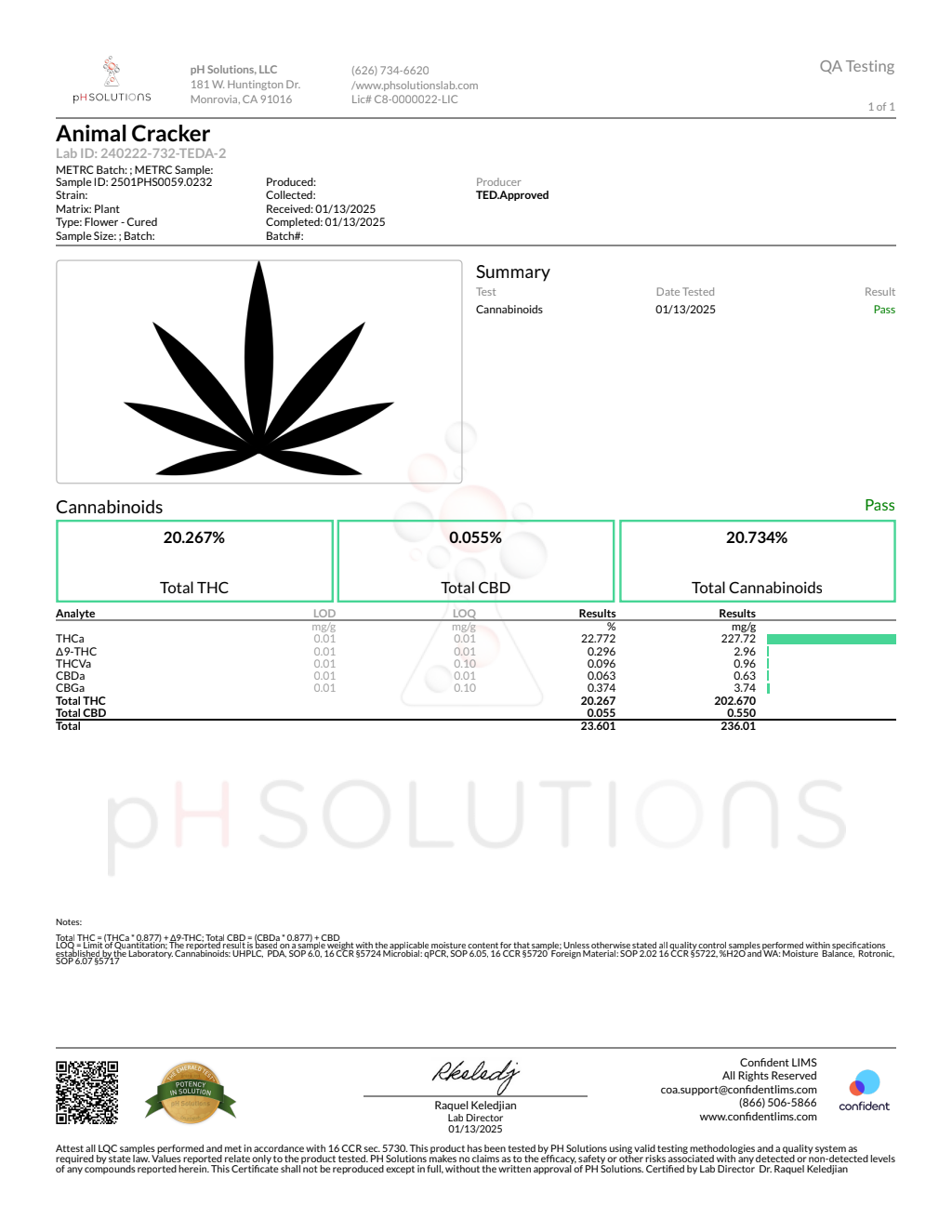 ANIMAL CRACKERS — wholesale hybrid flower