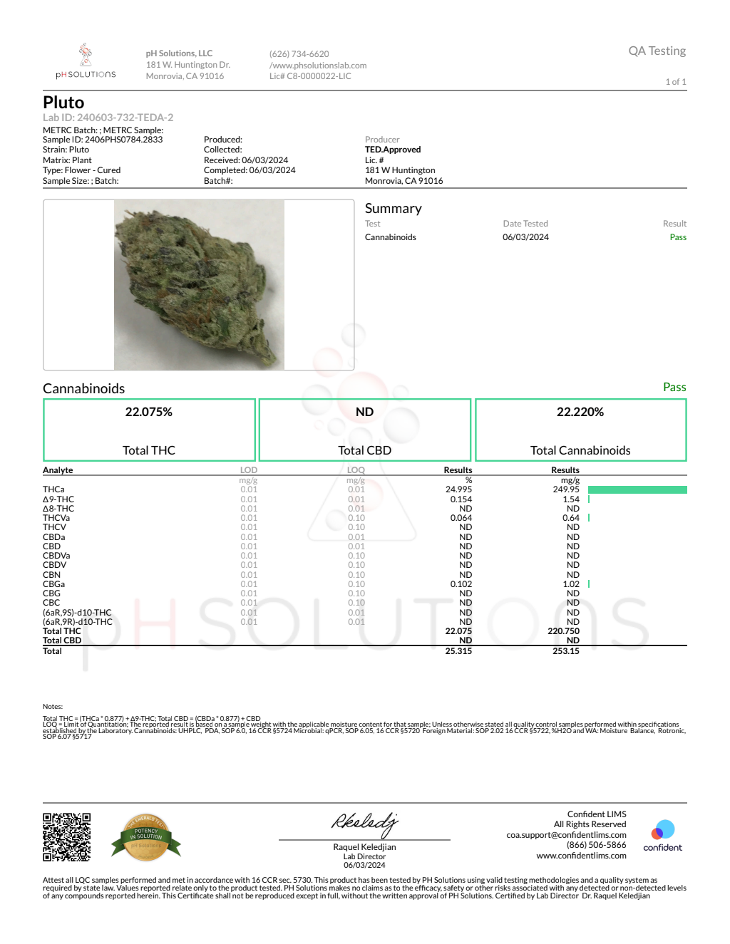 PLUTO — wholesale indica flower