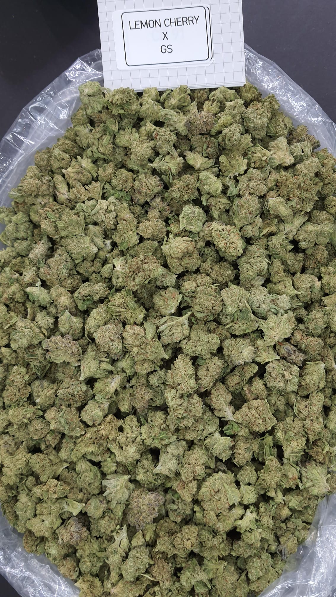 LEMON CHERRY X GSC SMALLS - Light Assist — wholesale indica smalls