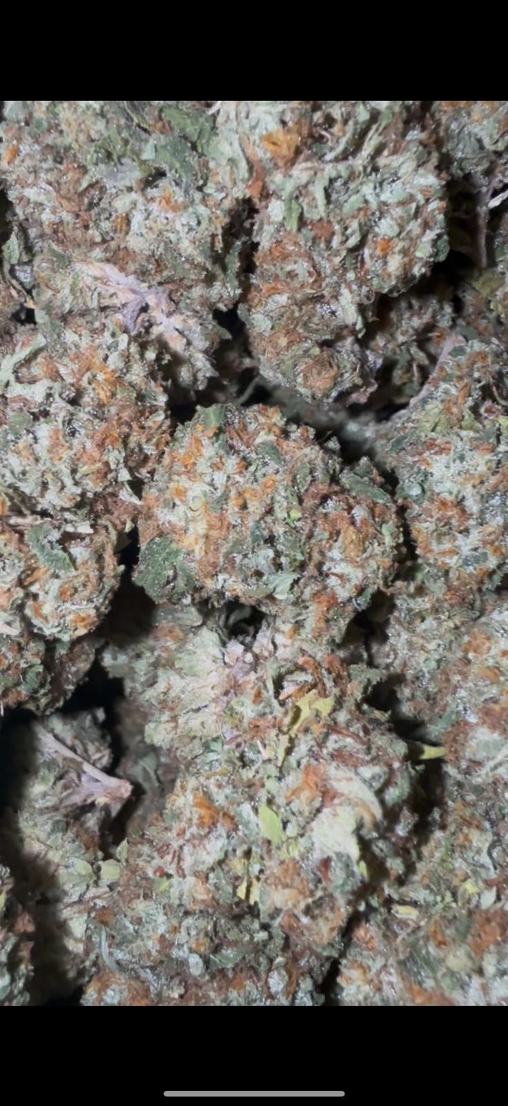 G33 — wholesale hybrid flower