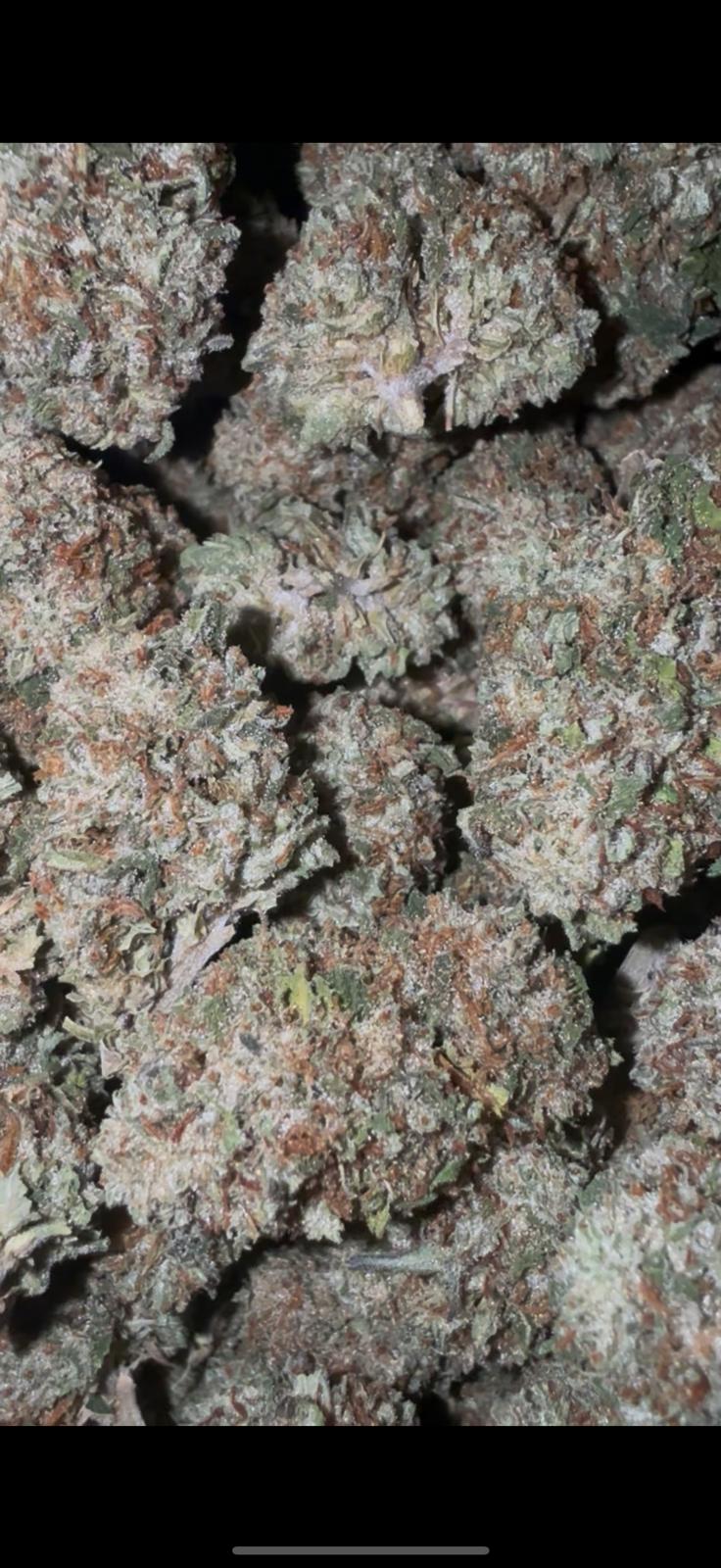 PLATINUM COOKIES — wholesale hybrid edible