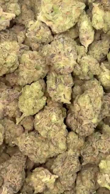 CEREAL MILK RUNTZ — wholesale hybrid flower