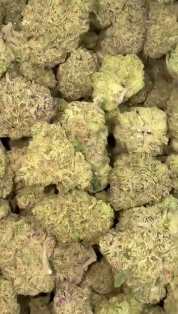 RUNTZ x WEDDING CAKE — wholesale hybrid flower