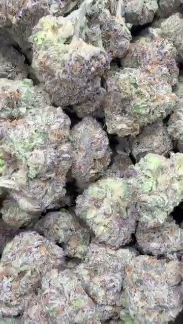 LCG — wholesale hybrid flower