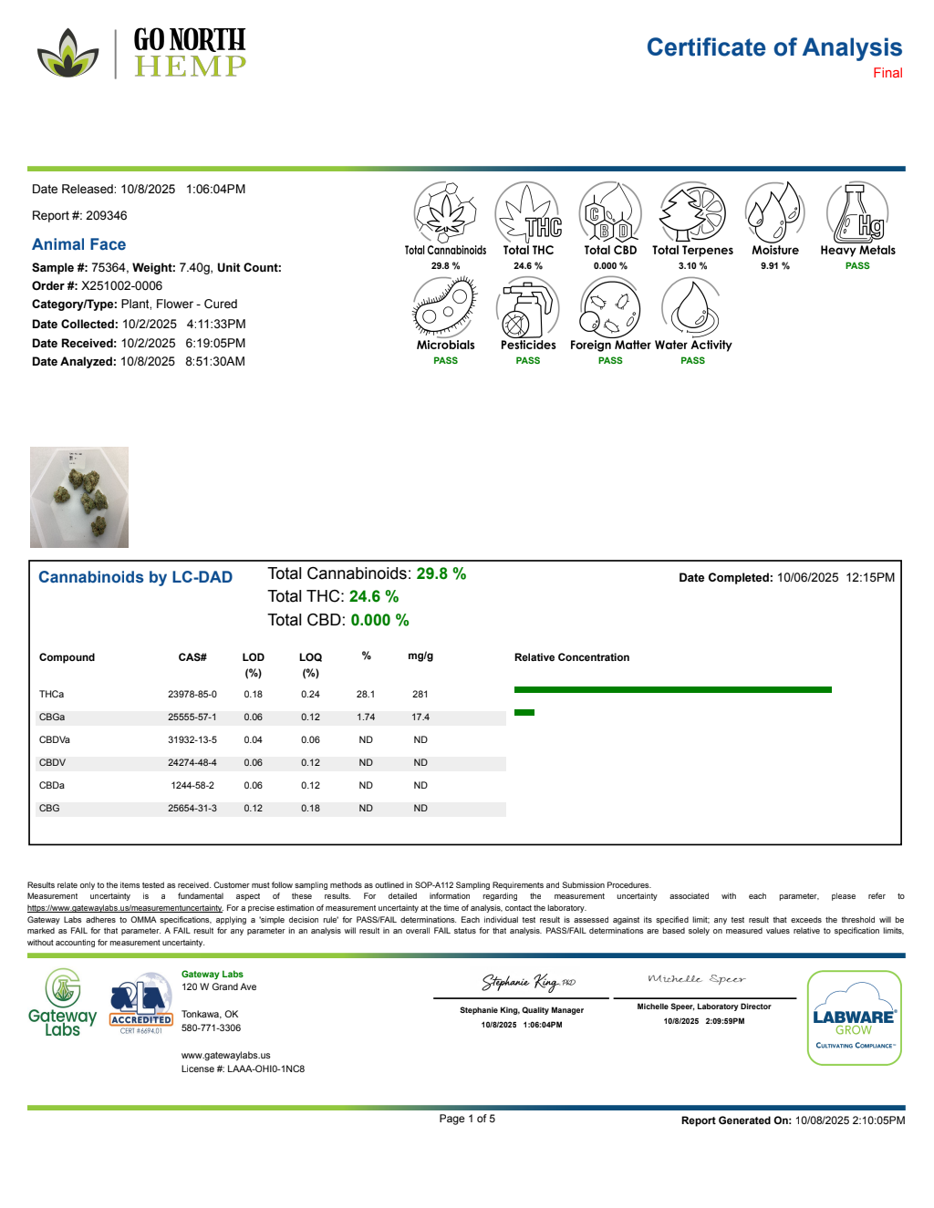 Animal Face — wholesale hybrid flower