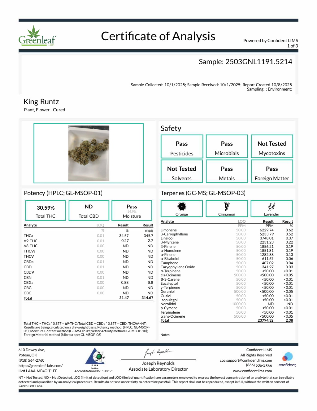 King Runtz — wholesale hybrid flower