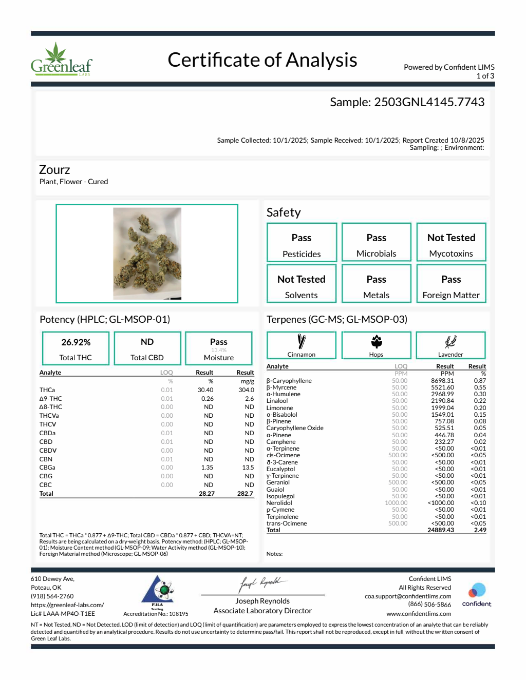 Zourz — wholesale hybrid flower