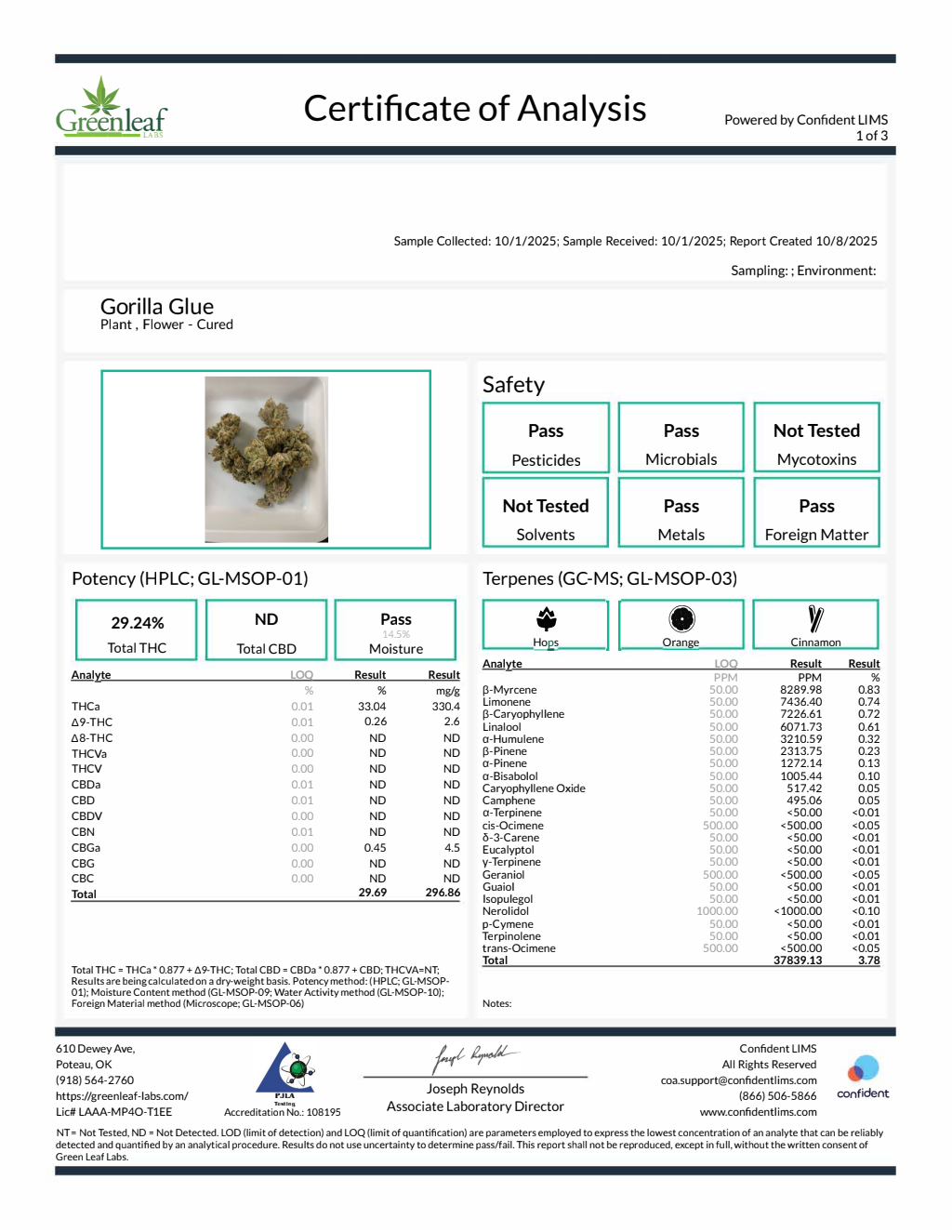 Gorilla Glue — wholesale hybrid flower