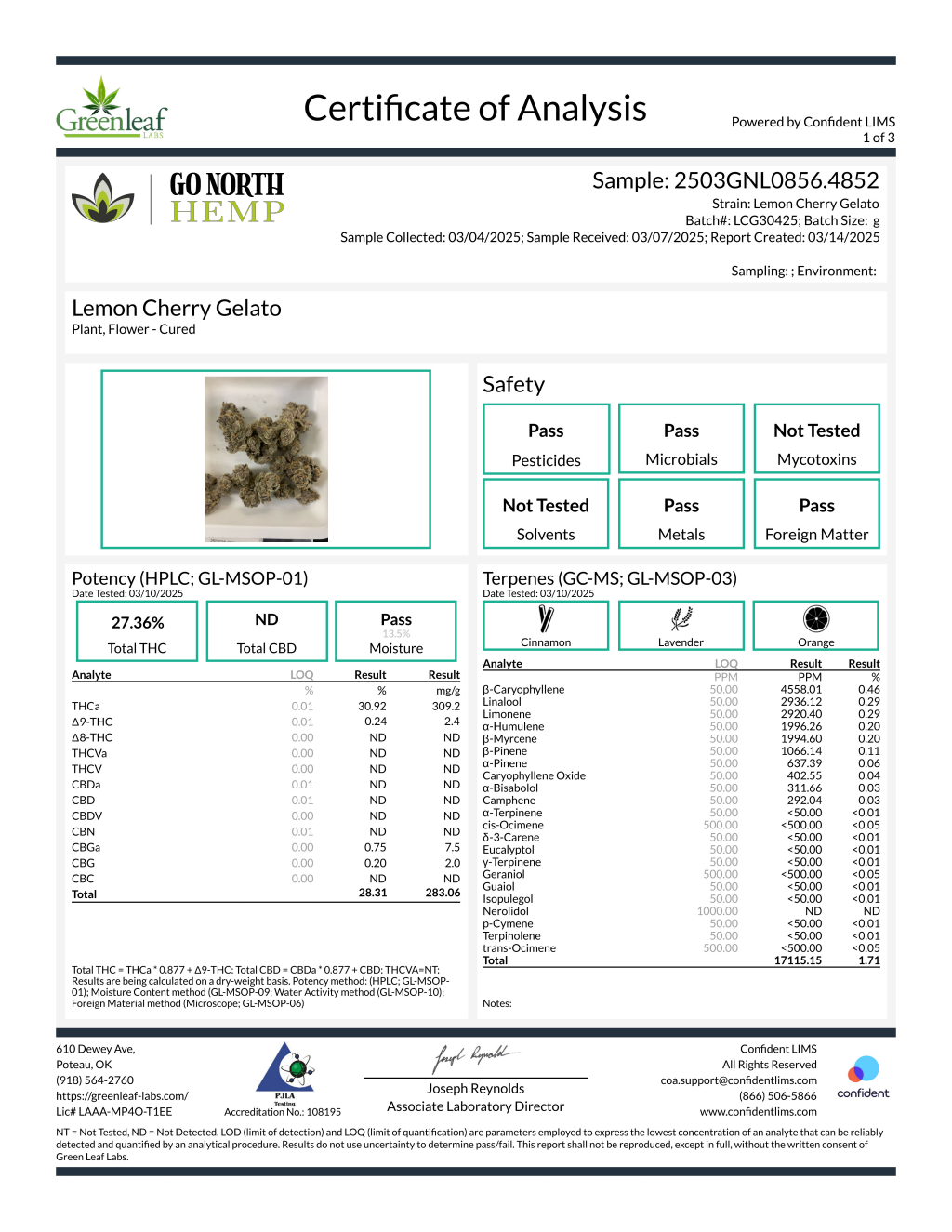 Lemon Cherry Gelato — wholesale hybrid flower