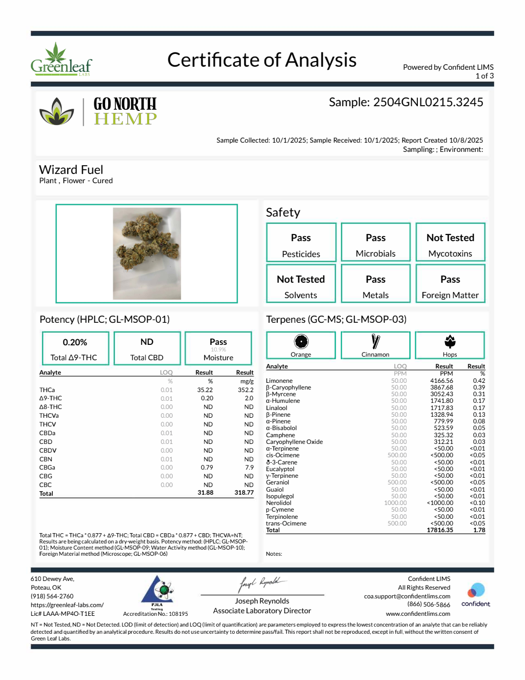 Wizard Fuel — wholesale hybrid flower