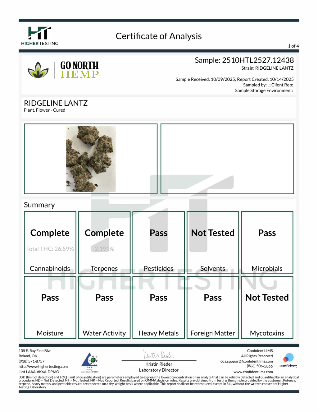 Ridgeline — wholesale hybrid flower