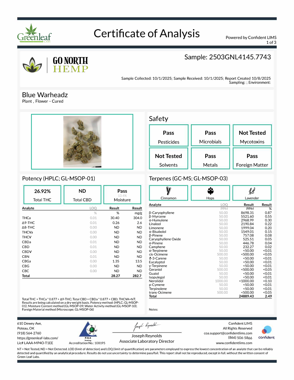 Blue Warheadz — wholesale hybrid flower