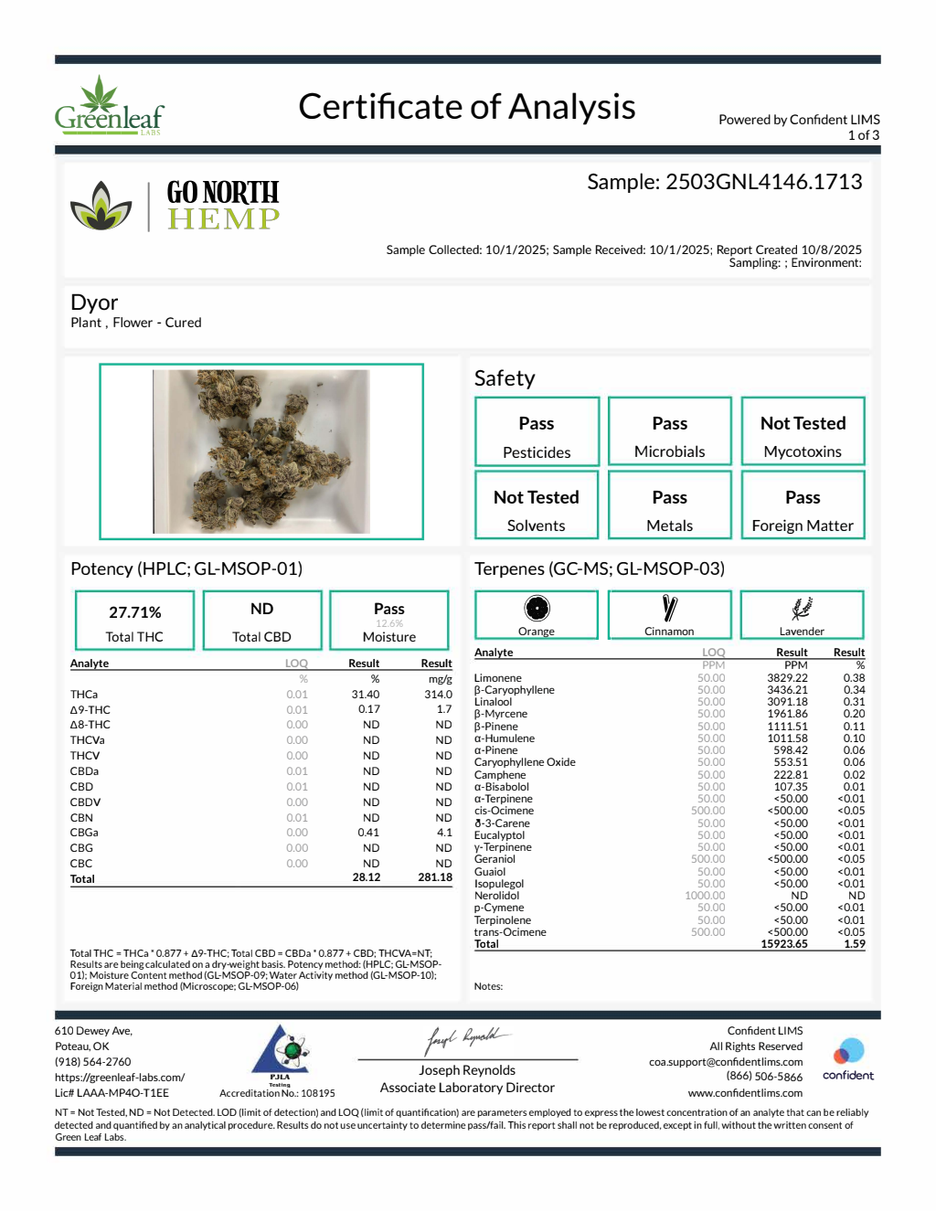 Dyor — wholesale hybrid flower