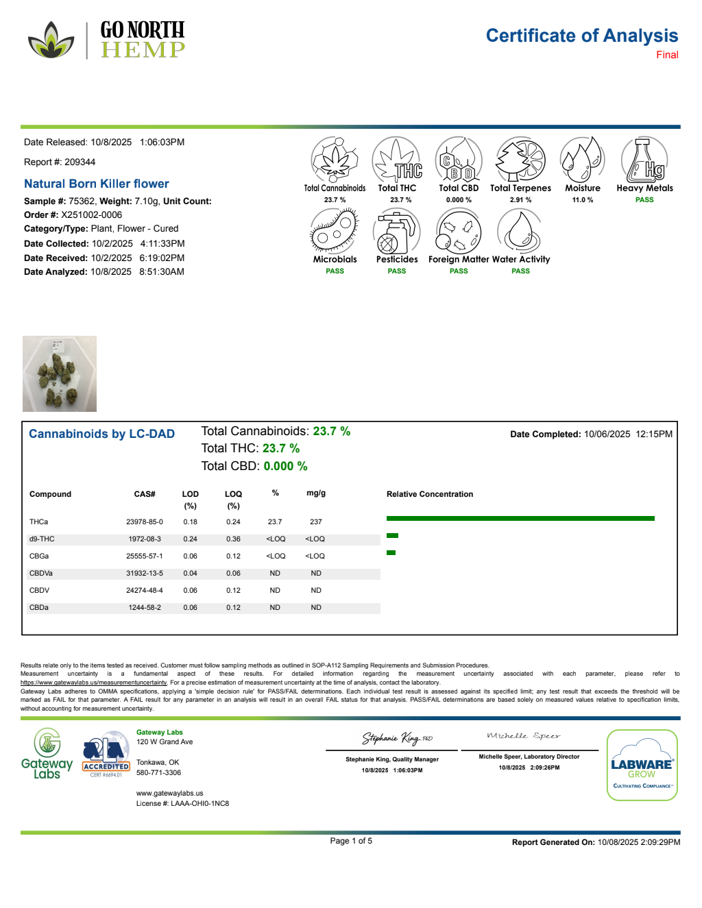 Natural Born Killer — wholesale hybrid flower