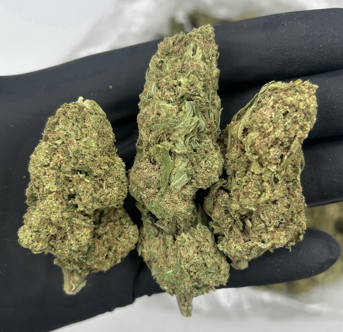 Side Piece — wholesale hybrid flower