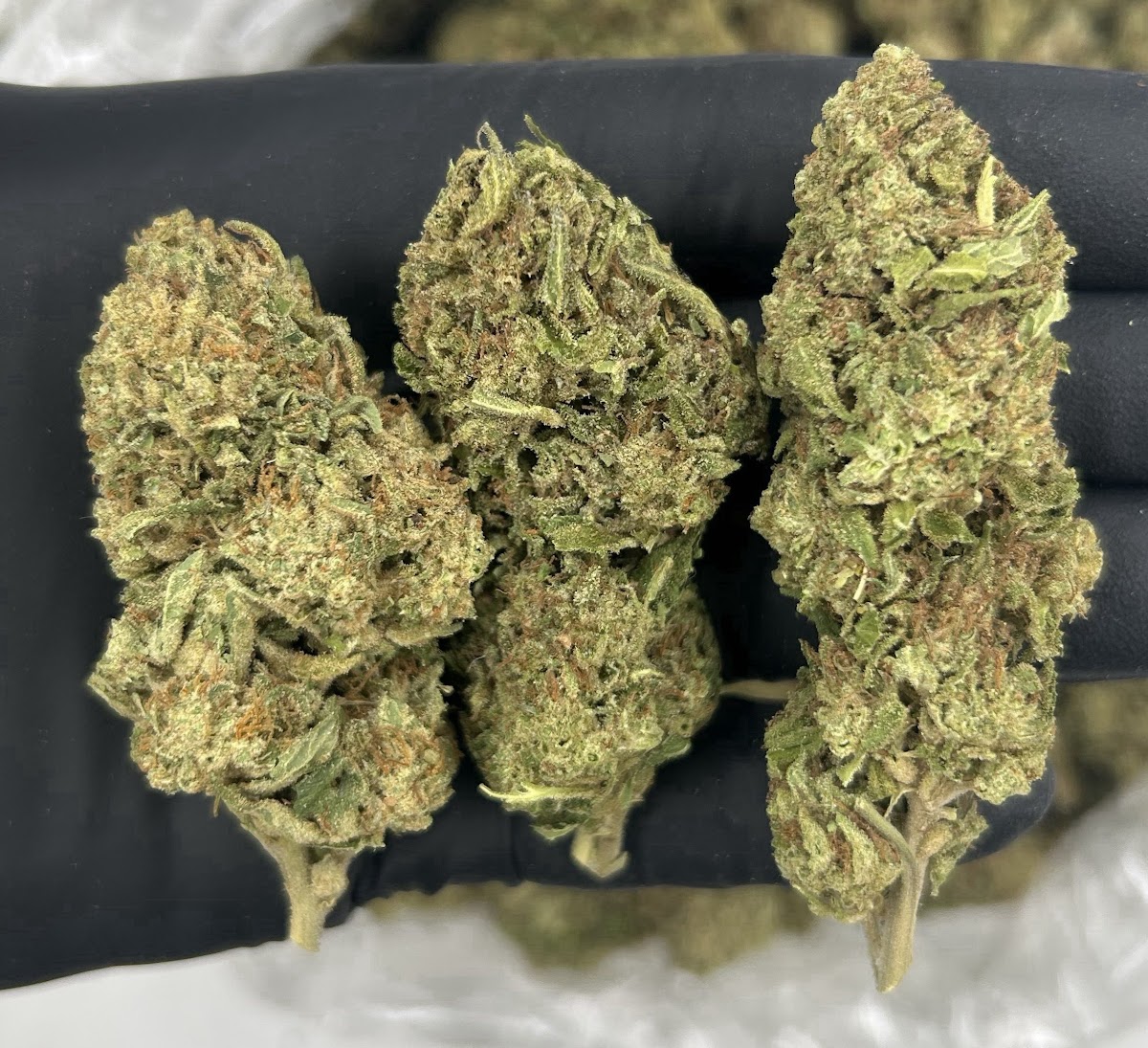 Gas Face — wholesale indica flower