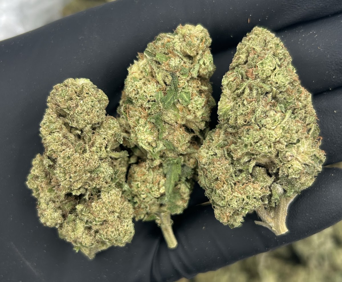 Candy Paint — wholesale hybrid edible
