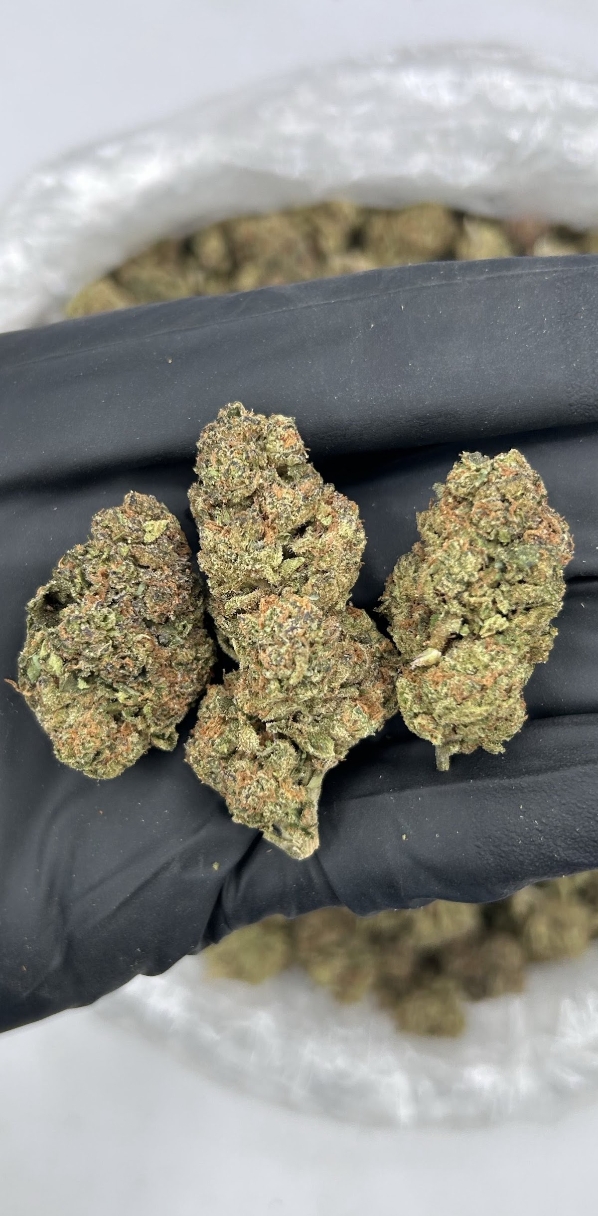 Xmas — wholesale indica flower