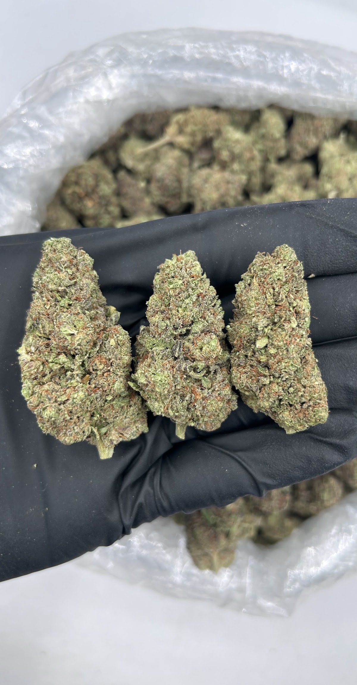 Candy Runtz — wholesale hybrid edible