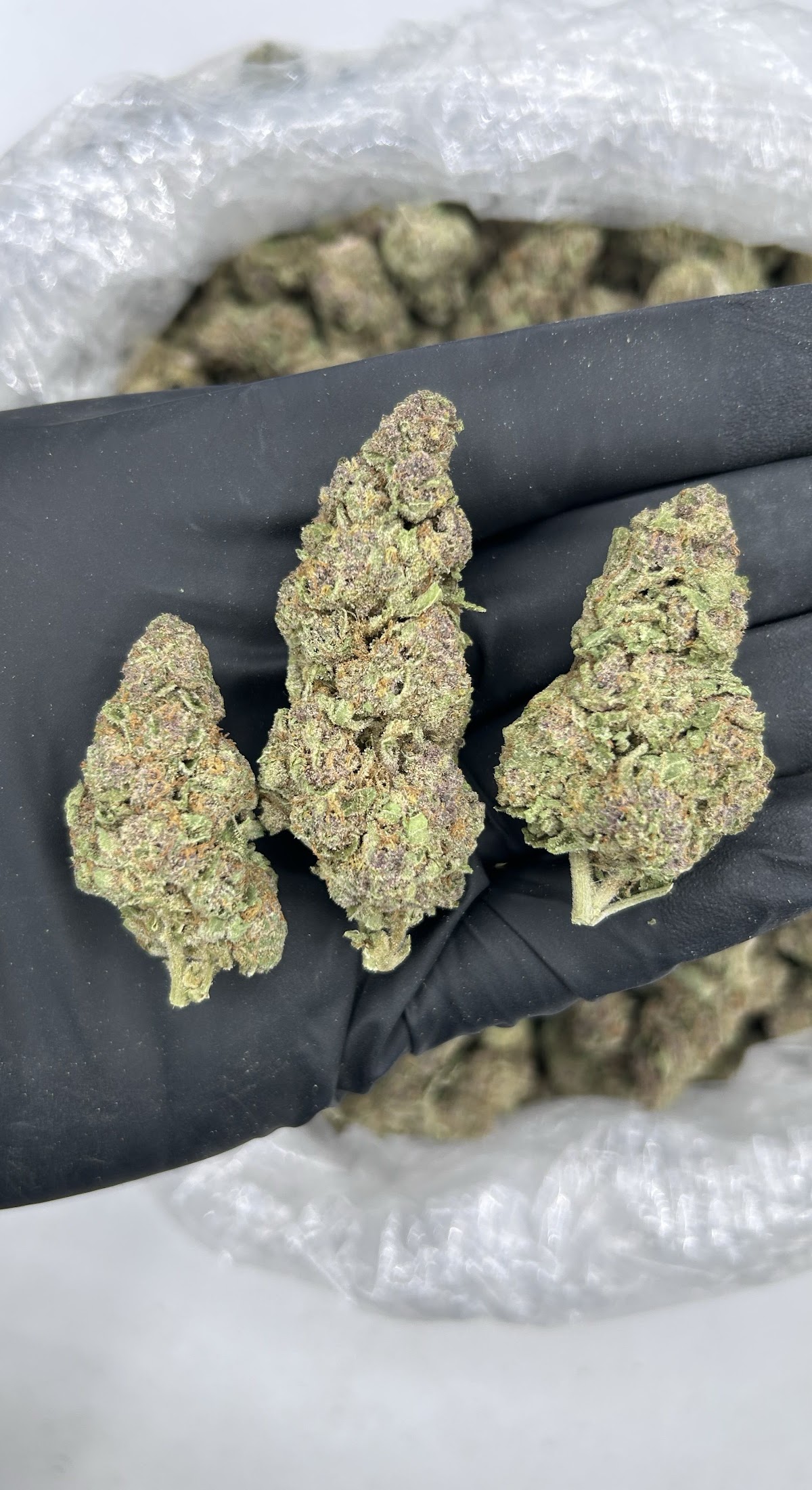 Tropical Cherry — wholesale sativa flower