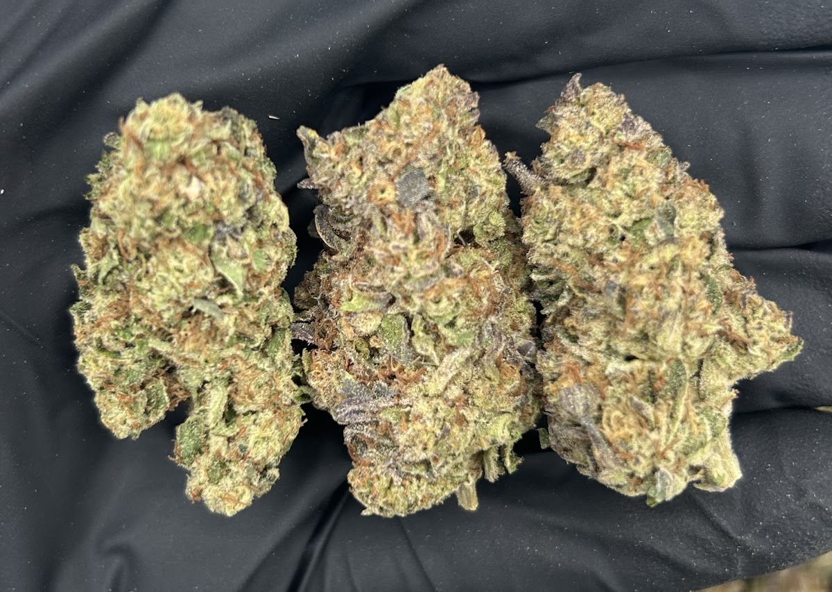 Slurricaine — wholesale indica flower