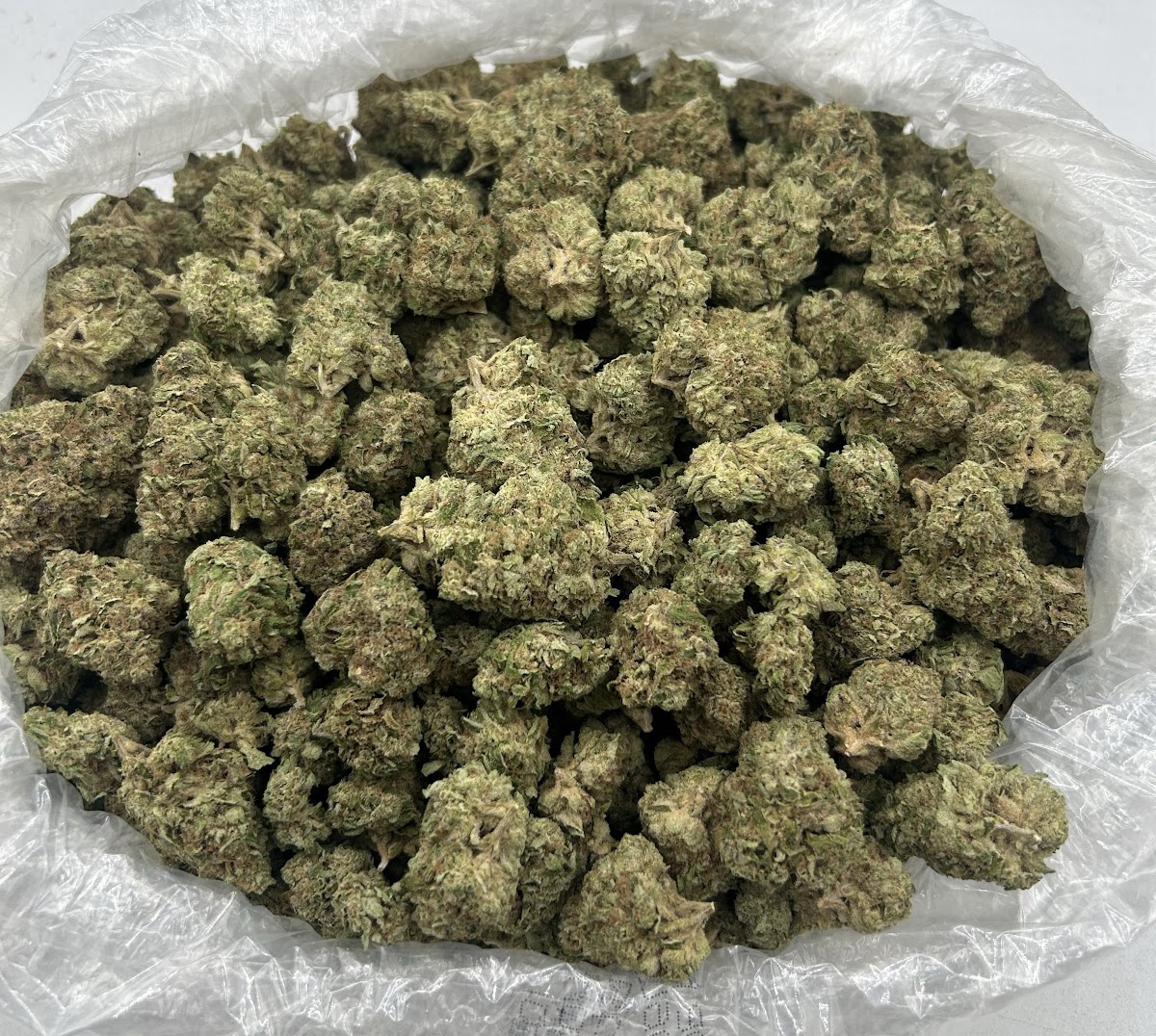 Superboof — wholesale hybrid flower