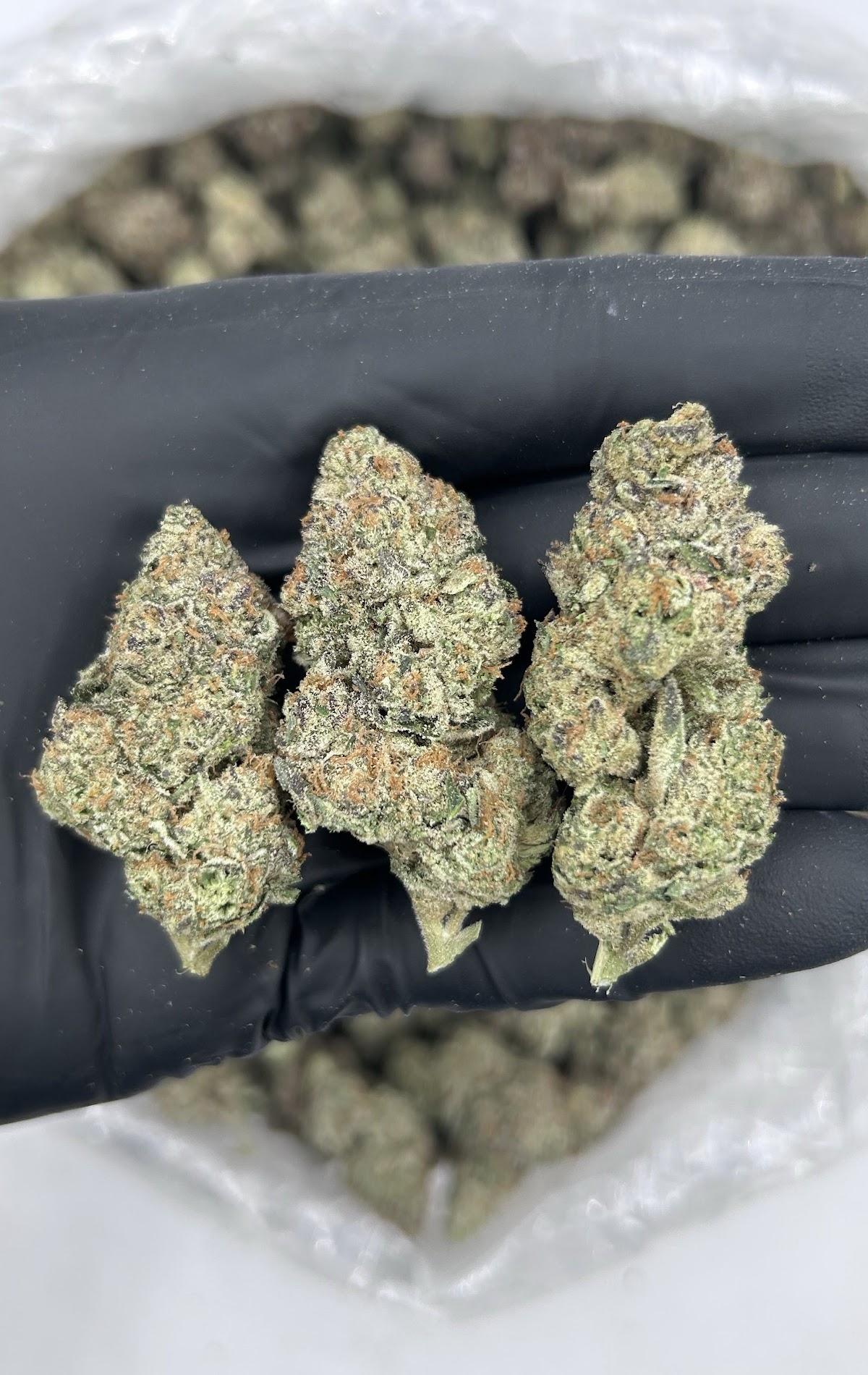 Cough Syrup — wholesale indica edible