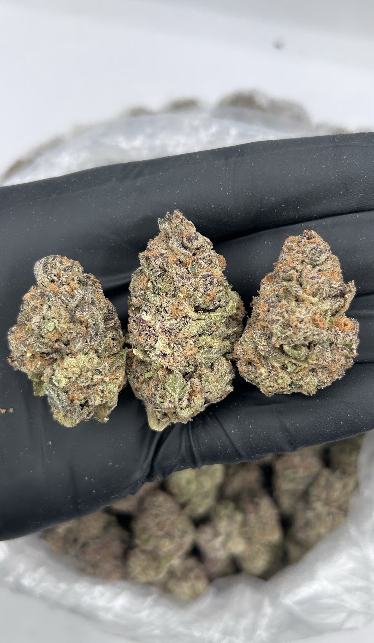 Purple Slime — wholesale indica flower