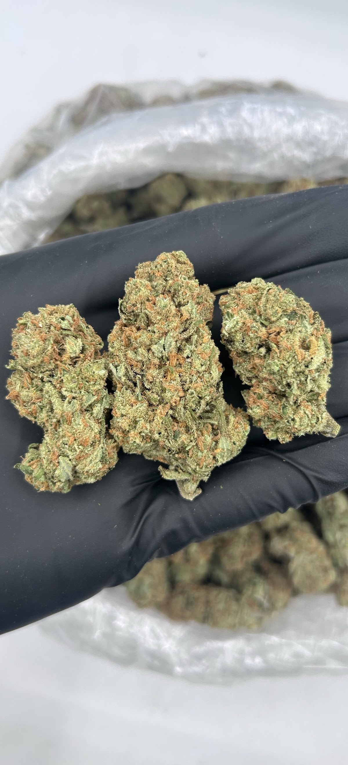 Super Lemon Haze — wholesale sativa flower