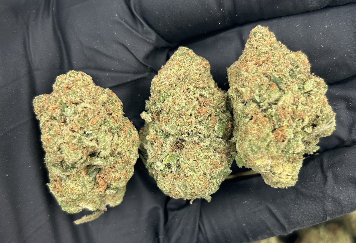 Durban Poison — wholesale sativa flower
