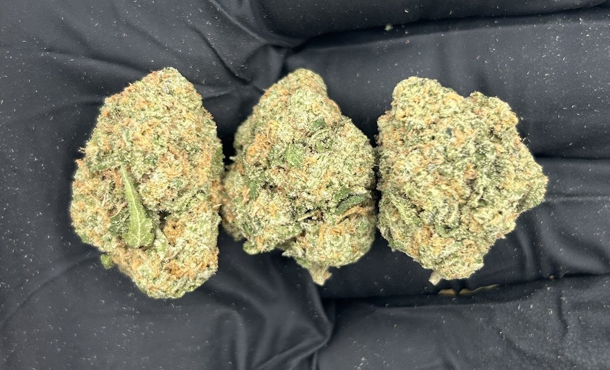 Green Slime — wholesale sativa flower