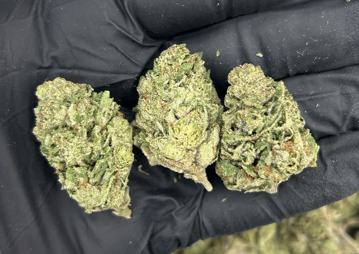 Berry Cake — wholesale indica flower