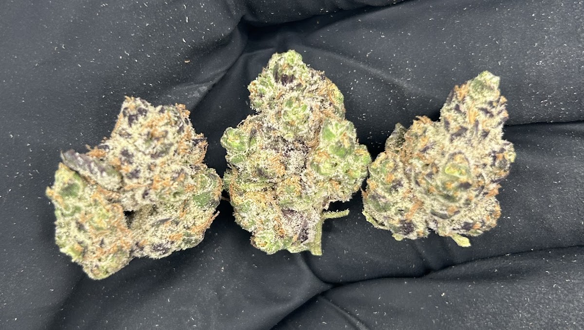 Peanut Butter Breath — wholesale hybrid flower