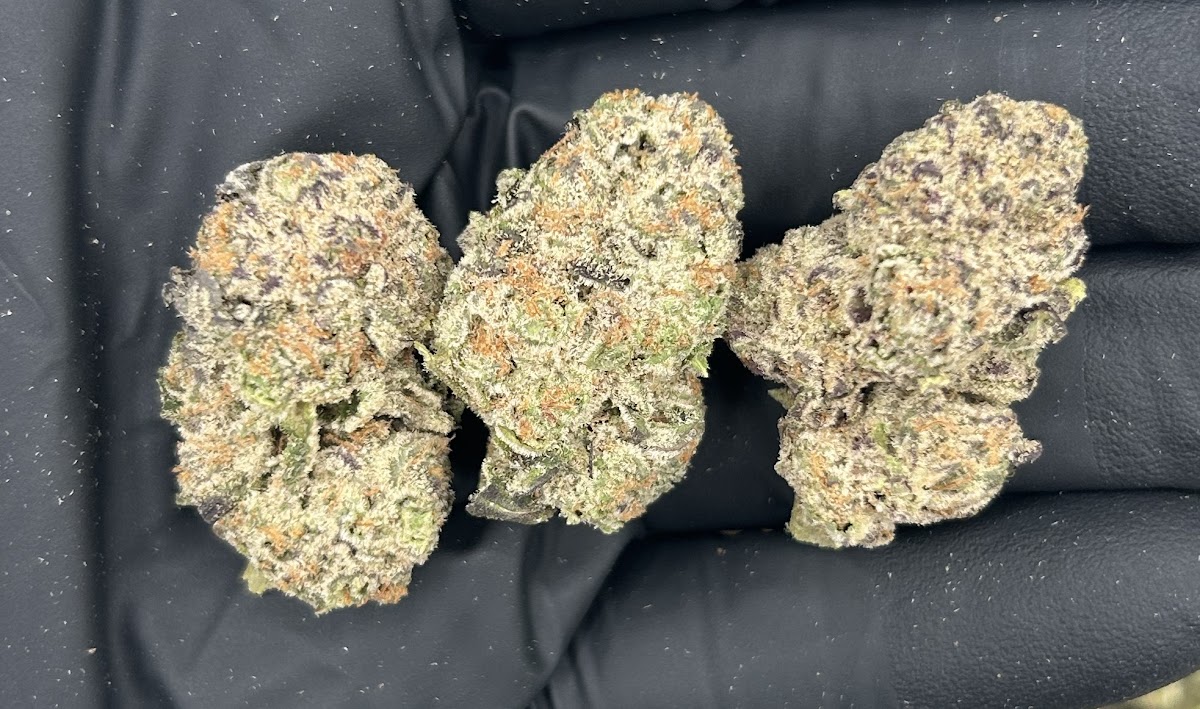Lemon Bars — wholesale sativa flower