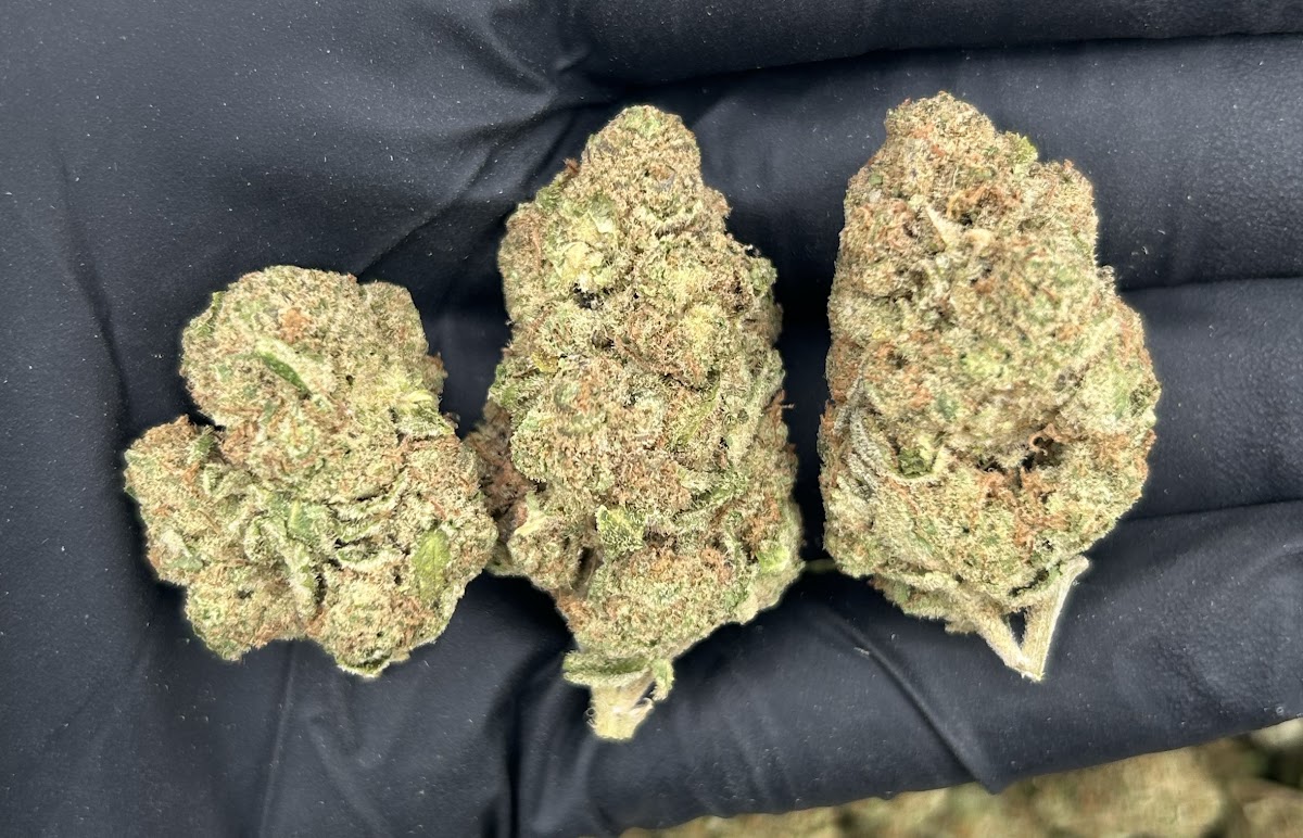 Lemon Haze — wholesale sativa flower