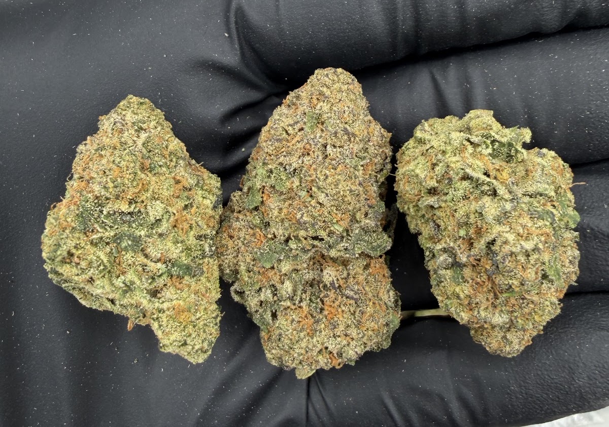 Girl Scout Cookies — wholesale indica edible