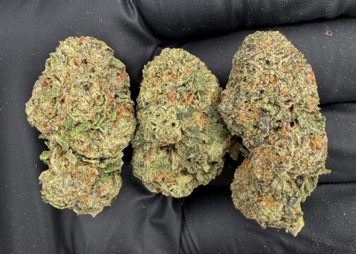 Grape Gas — wholesale indica flower