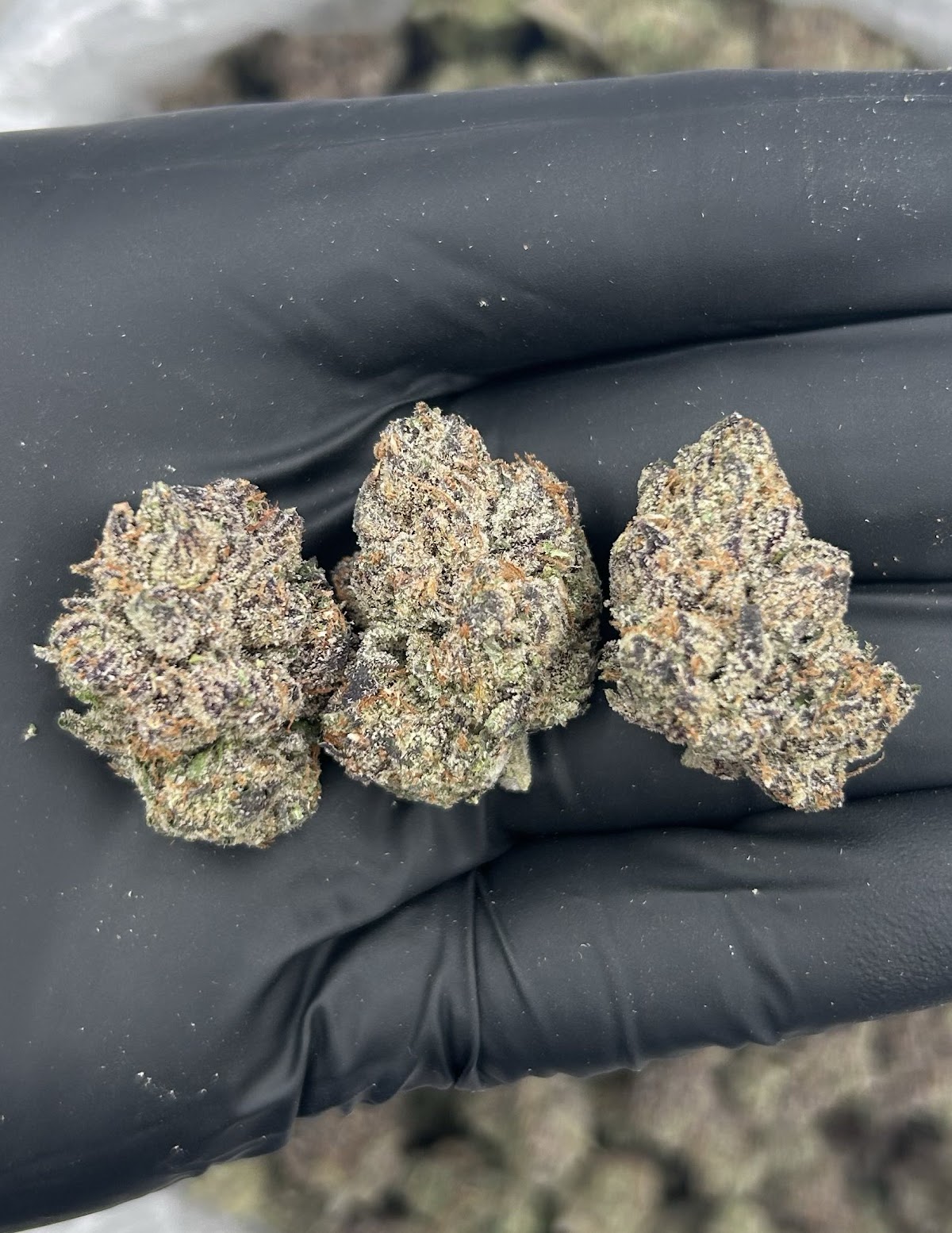 ADL — wholesale hybrid flower