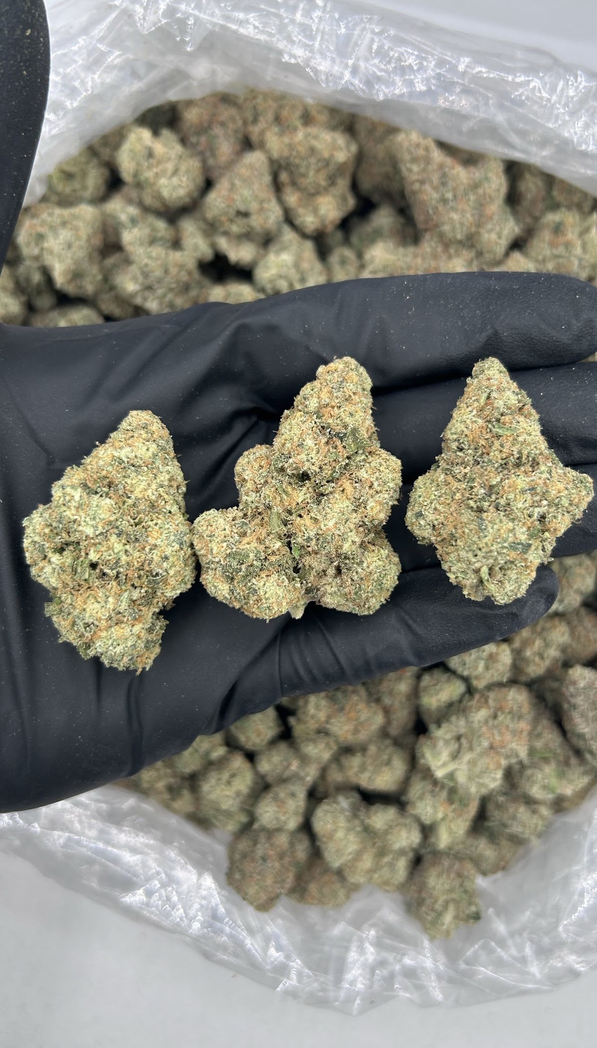Peach Zkittles — wholesale indica flower