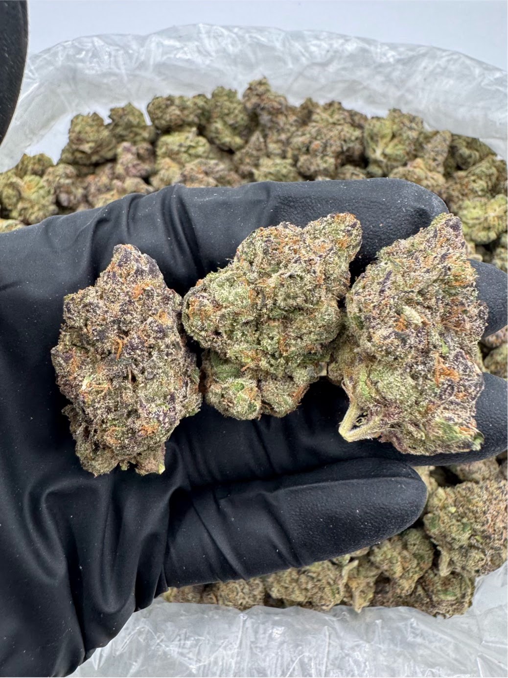 Blue Candy Zour — wholesale hybrid edible